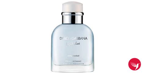 stromboli dolce gabbana|sephora dolce and gabbana.